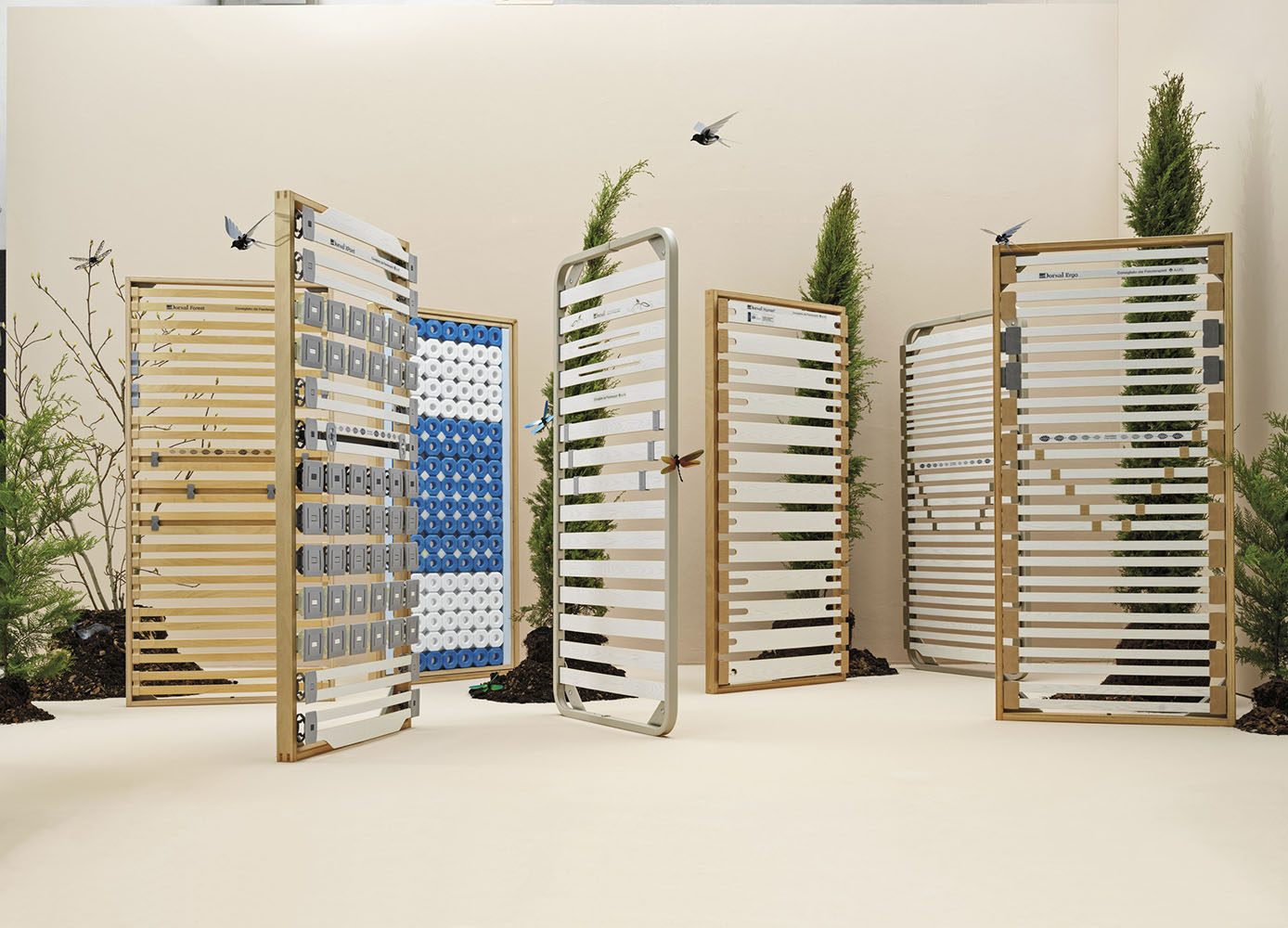 reti-a-doghe-Dorsal_tralebracciadimorfeo