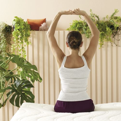 rete-a-doghe-dorsal-tralebracciadimorfeo